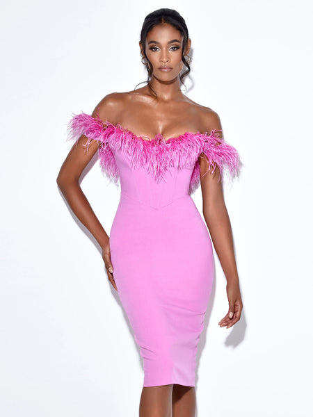 Sweetheart Pretty In Pink Feather Corset Dress