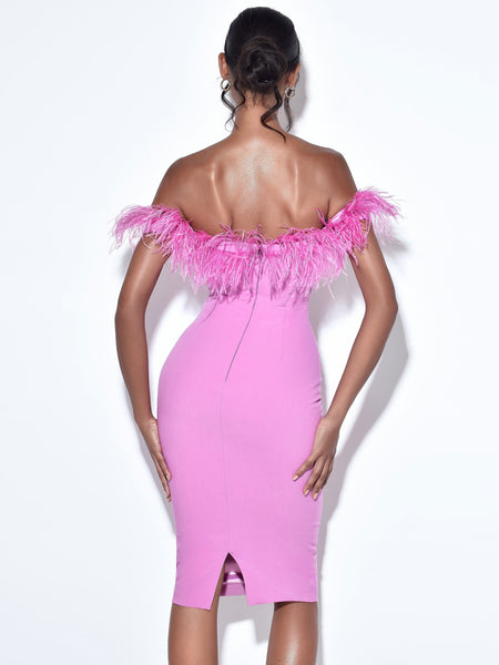 Sweetheart Pretty In Pink Feather Corset Dress