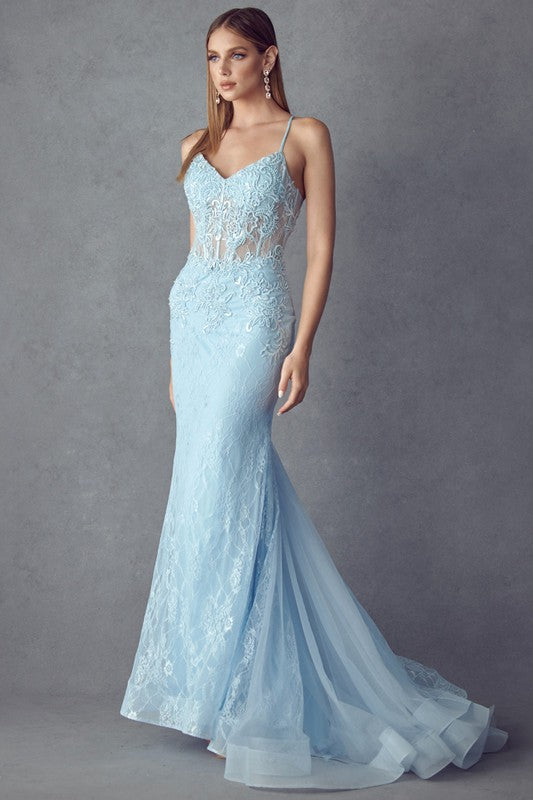 Laced Illusion Top Baby Blue Sleeveless Mermaid Gown