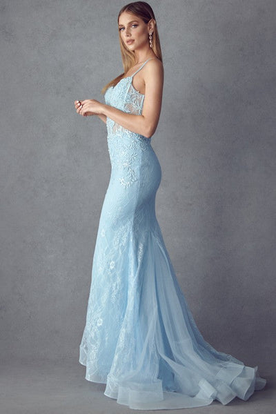 Laced Illusion Top Baby Blue Sleeveless Mermaid Gown