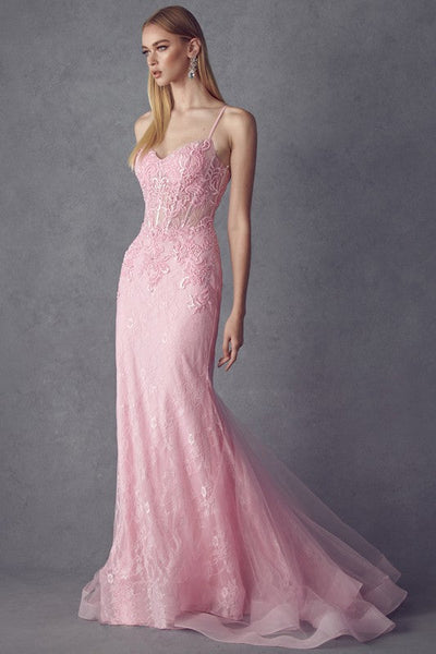 Laced Illusion Top Baby Pink Sleeveless Mermaid Gown