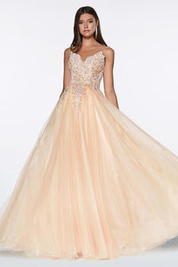 Lace Beaded Bodice Champagne Criss Cross Back A-Line Tulle Gown