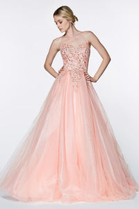 Lace Beaded Bodice Blush Criss Cross Back A-Line Tulle Gown